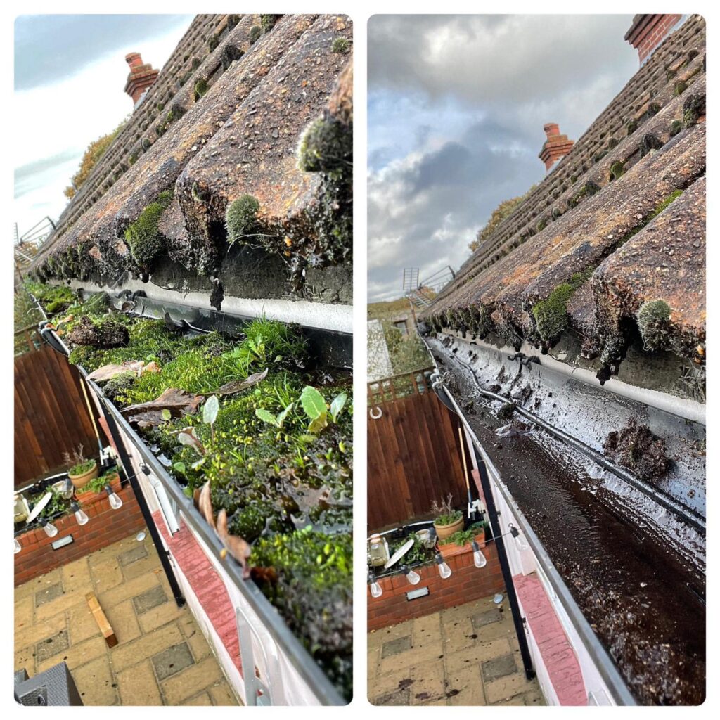 445423328_3767471720192388_436384736030772003_n