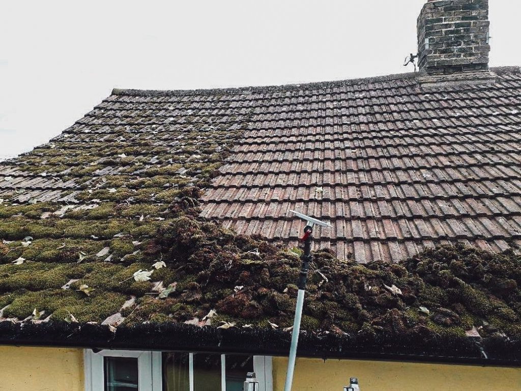 Roof moss removal in Portsmouth